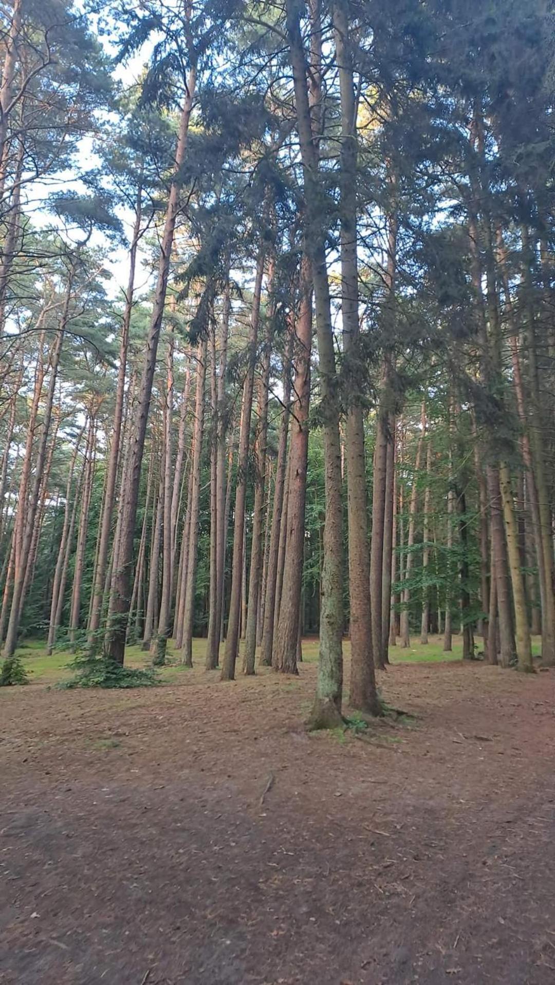 Pobierowo Baltic Apartaments D5 Extérieur photo